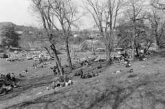 Magyarország, Bajót, Péliföldszentkereszt, búcsú a Szalézi rendház közelében., 1970, Székely Balázs, körhinta, zarándokhely, kerékpár, búcsú, zarándok, Fortepan #256353