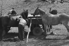 Magyarország, Bajót, Péliföldszentkereszt, a felvétel a Szalézi rendház közelében tartott búcsú idején készült., 1970, Székely Balázs, Fortepan #256409