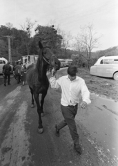 Magyarország, Bajót, Péliföldszentkereszt, a felvétel a Szalézi rendház közelében tartott búcsú idején készült., 1970, Székely Balázs, Fortepan #256419