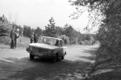 Magyarország, Budapest III., Hármashatárhegyi út, a München-Wien-Budapest Rallye mezőnyének gyorsasági versenye május 2-án., 1964, Közösségi Szociális Szövetkezet, Budapest, Fortepan #256506