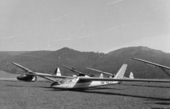 Magyarország, Budakeszi, Farkashegyi repülőtér., 1963, Közösségi Szociális Szövetkezet, SZD-24 Foka, vitorlázó repülőgép, PZL-márka, Fortepan #256523