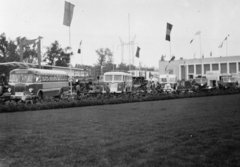 Hungary, Budapest XIV., a magyar járműipar kiállítási területe, háttérben az egykori Iparcsarnok helyén kialakított pavilon (később Petőfi Csarnok) látható., 1949, Tildy Istvánné, exhibition, bus, commercial vehicle, Ikarus A19, Budapest, Fortepan #256603