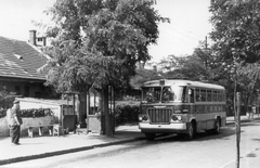 Magyarország, Budapest IX., Aszódi út, a 89-es busz végállomása., 1966, Ferencvárosi Helytörténeti Gyűjtemény, autóbusz, magyar gyártmány, Ikarus-márka, buszmegálló, Ikarus 620/630, Budapest, Fortepan #25673