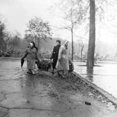 Magyarország, Budapest VIII., Fiumei úti Nemzeti Sírkert (Kerepesi temető)., 1956, Peter, Isaac, forradalom, képarány: négyzetes, nők, koszorú, Budapest, Fortepan #256827