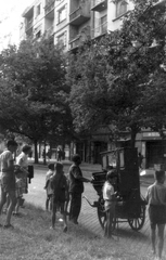 Magyarország, Budapest XI., Bocskai út a Kosztolányi Dezső tér felől a Tas vezér utca felé nézve, az úttesten egy verkli., 1956, Ferencvárosi Helytörténeti Gyűjtemény, utcakép, életkép, Budapest, verkli, Fortepan #25683