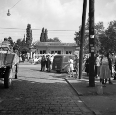 Magyarország, Budapest XVI., Imre utca, szemben a Mátyásföld, Imre utca (korábban Mátyásföld) HÉV megálló., 1954, Bolvári László, Budapest, baleset, képarány: négyzetes, bámészkodás, Fortepan #256927