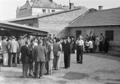 Magyarország, Budapest XIV., Róna utca 86-100., Postás SE sporttelep, háttérben a Posta Központi Járműtelepe., 1954, Bolvári László, Budapest, beszélgetés, zeneművészet, csoportosulás, Fortepan #257127