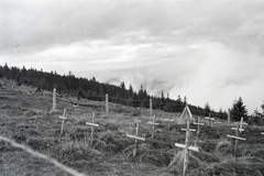 Romania,Transylvania, Radnai-havasok (Munții Rodnei), Borsai-hágó (Pasul Prislop), világháborús temető., 1942, Mohai család, Fortepan #257186