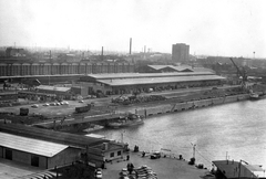 Magyarország, Budapest IX., a Ráckevei (Soroksári)-Duna, a Kvassay hídtól a Nagyvásártelep felé nézve., 1980, Ferencvárosi Helytörténeti Gyűjtemény, hajó, magyar gyártmány, daru, látkép, motorcsónak, vontatóhajó, M. 10./Szamos hajó, AN 2 aknanaszád, aknanaszád, Budapest, Fortepan #25722