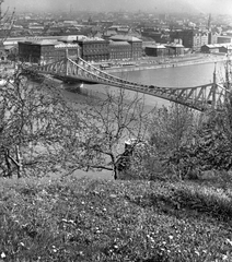 Magyarország, Gellérthegy, Budapest, kilátás a Szabadság híd felé., 1975, Ferencvárosi Helytörténeti Gyűjtemény, híd, látkép, Duna, Duna-híd, Feketeházy János-terv, Fortepan #25733