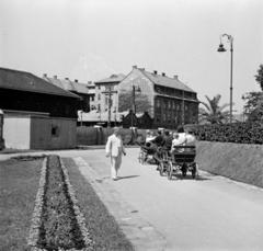 Hungary, Zoo, Budapest XIV.,Budapest VI., a felvétel a Pálmaház mögött készült. Szemben a Dózsa György út mellett a Millenniumi Földalatti Vasút remíze, háttérben a Podmaniczky (Rudas László) utca sarkán a MÁV Kórház és Rendelőintézet (később a Honvédkórház Szakrendelő Intézete és II. számú telephelye)., 1964, Ladinek Viktor, Budapest, Fortepan #257357