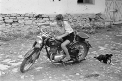 1961, Ladinek Viktor, dog, motorcycle, Fortepan #257387