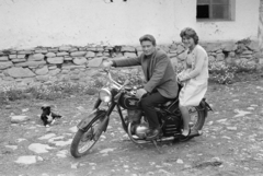 1961, Ladinek Viktor, Best of, dog, motorcycle, Fortepan #257389