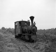 Hollandia, Oudewater, Willeskop, az egykori IJsseloord téglagyárban közlekedő Orenstein & Koppel típusú gőzmozdony 1971. augusztus 26-án., 1971, Ladinek Viktor, gőzmozdony, Fortepan #257451