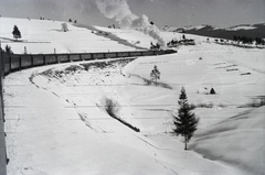 Ukrajna, Oporec, a 154-es számú vöröskeresztes kórházvonat a település határában., 1942, Reményi József, vonat, Fortepan #257655