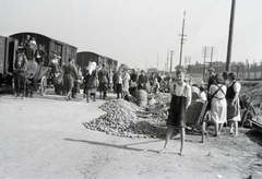 Lengyelország, Ruda Śląska, Kochłowice (ekkor Kochlowitz) ekkor önálló, ma a város része. Vasútállomás., 1942, Reményi József, krumpli, Fortepan #257664