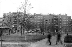 Magyarország, Budapest IX., Vágóhíd utcai lakótelep házai, háttérben a Mester utcai házsor., 1981, Ferencvárosi Helytörténeti Gyűjtemény, park, lakótelep, Budapest, Fortepan #25777