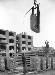 Magyarország, Budapest IX., József Attila lakótelep, épülő házak az Ifjúmunkás és a Pöttyös utcánál., 1959, Ferencvárosi Helytörténeti Gyűjtemény, építkezés, lakótelep, daru, Budapest, Fortepan #25800