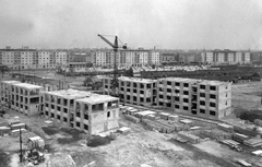 Magyarország, Budapest IX., József Attila lakótelep, Pöttyös utca., 1959, Ferencvárosi Helytörténeti Gyűjtemény, építkezés, lakótelep, daru, Budapest, Fortepan #25802