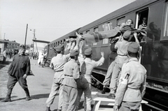 Hungary, Budapest VIII., a 154-es számú vöröskeresztes kórházvonat a Józsefvárosi pályaudvaron., 1942, Reményi József, hospital-train, barrow, wounded, Budapest, Fortepan #258077