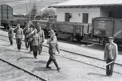 Ukraine, (ekkor Lawoczne), vasútállomás. A felvétel a vöröskeresztes kórházvonat érkezésekor készült., 1942, Reményi József, soldier, uniform, worker, train, Fortepan #258120