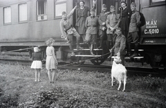 1942, Reményi József, hospital-train, goat, Fortepan #258239