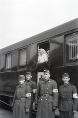 Hungary, Kecskemét, vasútállomás, a felvétel a 154-es számú vöröskeresztes kórházvonat érkezésekor készült., 1942, Reményi József, Fortepan #258288