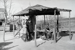 1951, Reményi József, carpenter, saw, boots, Fortepan #258346