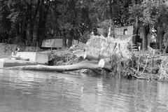 Magyarország, Budakalász, Lupa-sziget., 1966, Reményi József, Fortepan #258374