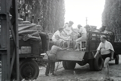 Magyarország, Budapest III., Római part, Kossuth Lajos üdülőpart 111., Tungsram üdülőtelep., 1957, Reményi József, Budapest, teherautó, rakodás, szék, Fortepan #258398