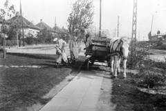 Magyarország, Budapest XIII., Béke utca a Gyöngyösi utcától a Kámfor utca telé nézve., 1952, Reményi József, Budapest, utcakép, lovaskocsi, Fortepan #258432