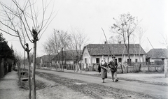 Magyarország, Ramocsaháza, Kossuth Lajos utca, balra a háttérben a református templom tornya látszik., 1959, Reményi József, utcakép, facsemete, vizesárok, földút, Fortepan #258454