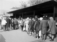 Magyarország, Óbuda, Budapest III., Óbudai piac a Kórház utca - Szél utca - Verőfény utca - Vihar utca által határolt területen., 1969, Reményi József, piac, zöldséges, sorbanállás, Budapest, Fortepan #258573