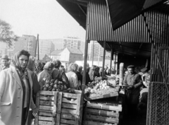 Magyarország, Óbuda, Budapest III., Óbudai piac a Kórház utca - Szél utca - Verőfény utca - Vihar utca által határolt területen., 1969, Reményi József, láda, piac, zöldséges, Budapest, Fortepan #258574