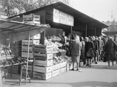 Magyarország, Óbuda, Budapest III., Óbudai piac a Kórház utca - Szél utca - Verőfény utca - Vihar utca által határolt területen., 1969, Reményi József, láda, piac, zöldséges, sorbanállás, Budapest, Fortepan #258575