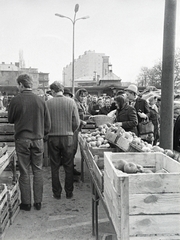 Magyarország, Óbuda, Budapest III., Óbudai piac a Kórház utca - Szél utca - Verőfény utca - Vihar utca által határolt területen. Háttérben a Szent József Otthon (később Kanter Károly Felnőttképzési Intézet) és kápolna látszik., 1969, Reményi József, láda, piac, krumpli, Budapest, Fortepan #258579