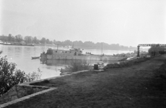 Magyarország, Budapest IV., Duna-part, kikötött hajók az Üdülő sor előtt, szemben a a Szentendrei-sziget., 1952, Reményi József, Budapest, folyópart, hajó, Fortepan #258639