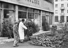 Magyarország, Budapest XIII., a felvétel a Béke utca - Övezet utca sarkán álló ház előtt készült., 1955, Reményi József, Budapest, eladó, munkaköpeny, vásár, vásárlás, fenyőfa, Fortepan #258711