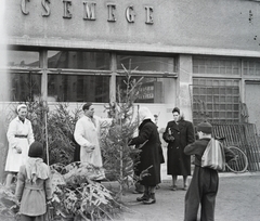 Magyarország, Budapest XIII., a felvétel a Béke utca - Övezet utca sarkán álló ház előtt készült., 1955, Reményi József, Budapest, eladó, vásár, vásárlás, fenyőfa, kerékpár, Fortepan #258732