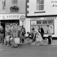 Egyesült Királyság, Brixham, The Quay, háttérben a 23. és 24. számú ház., 1956, UWM Libraries, Harrison Forman, kutya, életkép, csomag, fonott táska, babakocsi, Fortepan #258823