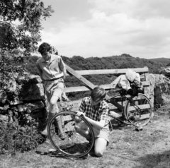 Egyesült Királyság, Devon megye, kerékpárgumit javítás az út szélén., 1956, UWM Libraries, Harrison Forman, kerékpár, fiúk, képarány: négyzetes, szerelés, Fortepan #258854