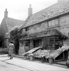 United Kingdom, High Street 34., 1948, UWM Libraries, house, florist, Fortepan #258893