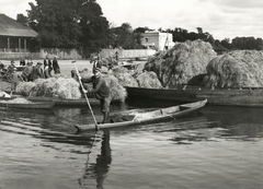 Fehéroroszország, 1934, UWM Libraries, Boyd Louise Arner, halászat, evezés, széna, Fortepan #258990