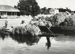 Fehéroroszország, Pinszk, a Pina folyón és környező csatornákon a vásárra érkező és ott szénát árusító kereskedő., 1934, UWM Libraries, Boyd Louise Arner, Fortepan #259016