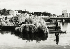 Fehéroroszország, Pinszk, a Pina folyón és környező csatornákon a vásárra érkező és ott szénát árusító kereskedő., 1934, UWM Libraries, Boyd Louise Arner, Fortepan #259025