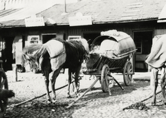 Fehéroroszország, Szlonim, piac., 1934, UWM Libraries, Boyd Louise Arner, Fortepan #259062