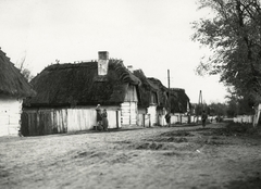 Lengyelország, a felvétel Puławy-tól délre kb 5 km-re készült., 1934, UWM Libraries, Boyd Louise Arner, gerendaház, falu, Fortepan #259065