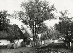 Lengyelország, Puławy, a felvételen a településen átvezető út látható., 1934, UWM Libraries, Boyd Louise Arner, parasztház, utcakép, népi építészet, Fortepan #259066