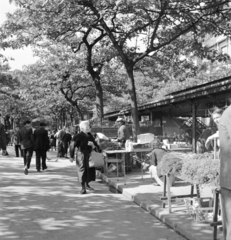 France, Paris, Cité-sziget, Allée Célestin Hennion, madár és virágpiac., 1947, UWM Libraries, table, stand, Fortepan #259241