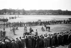 Olaszország, Pisa, amerikai katonák egy rendezvényen., 1946, UWM Libraries, Harriet Helen Werley, kutya, ló, bámészkodás, lovaglás, Fortepan #259590